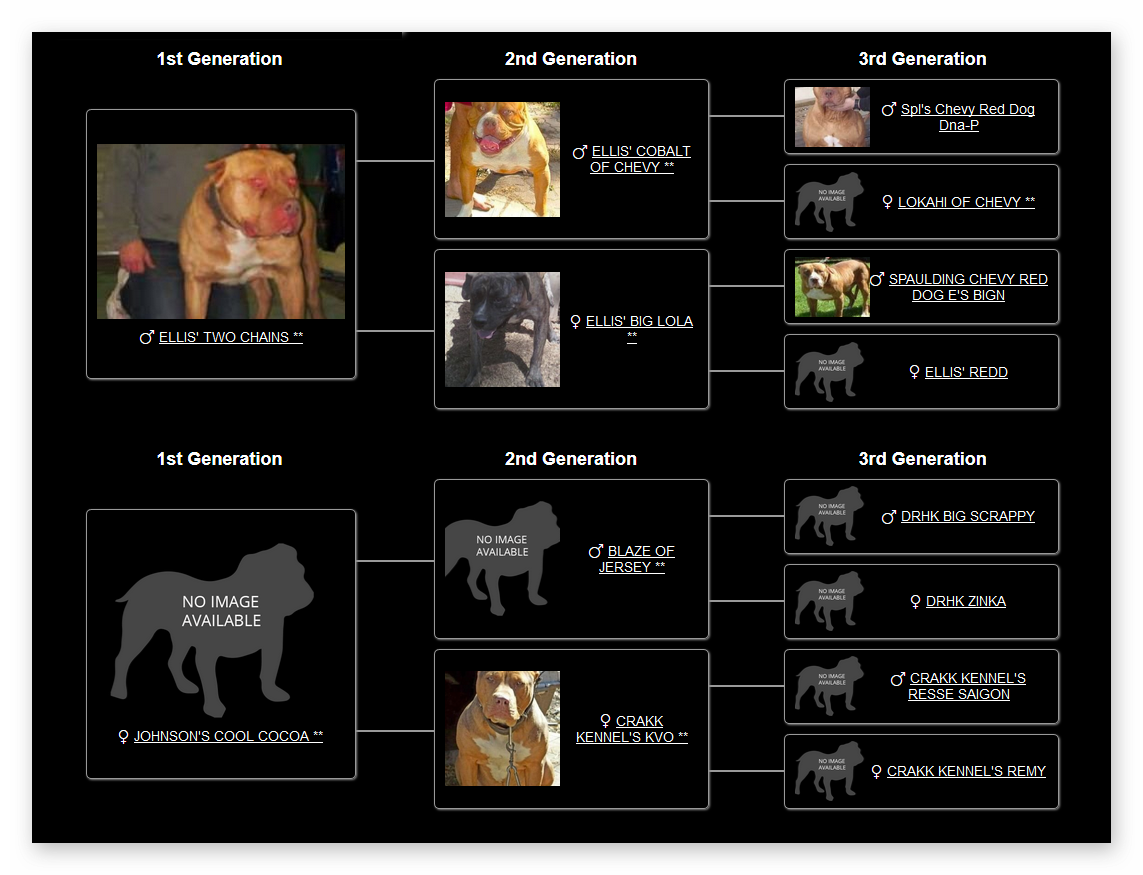breeders pit bull standard