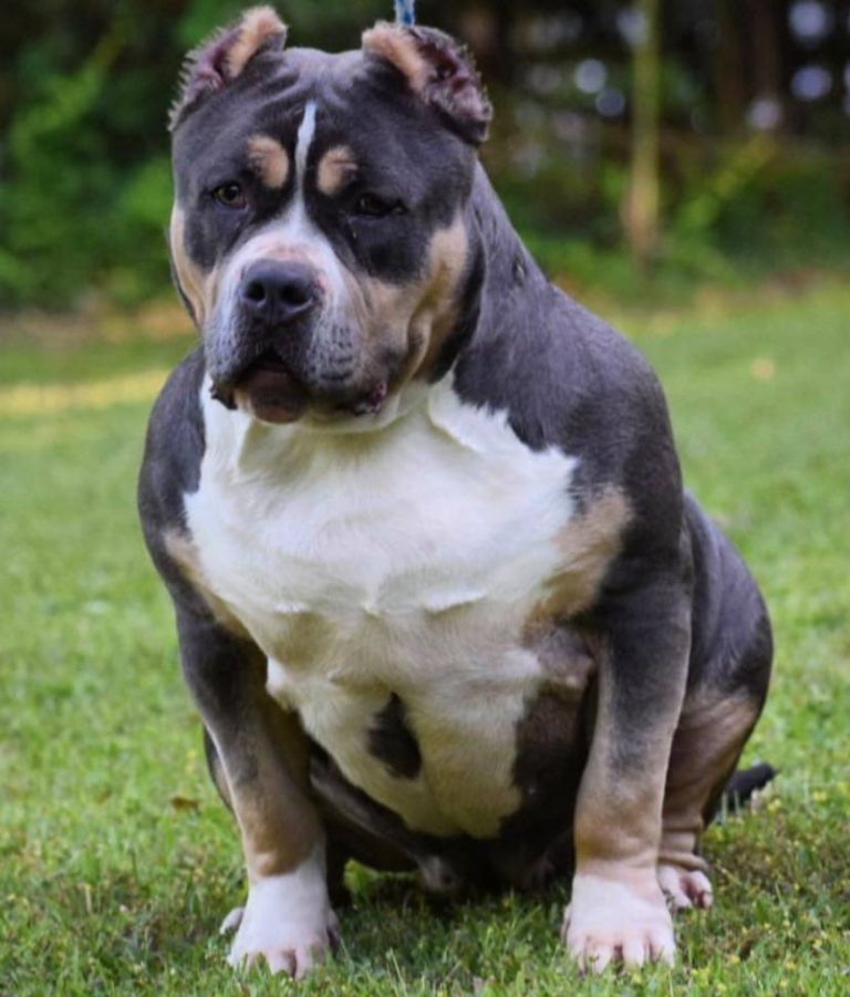 122086027_418611252875753_4229261630919035826_n