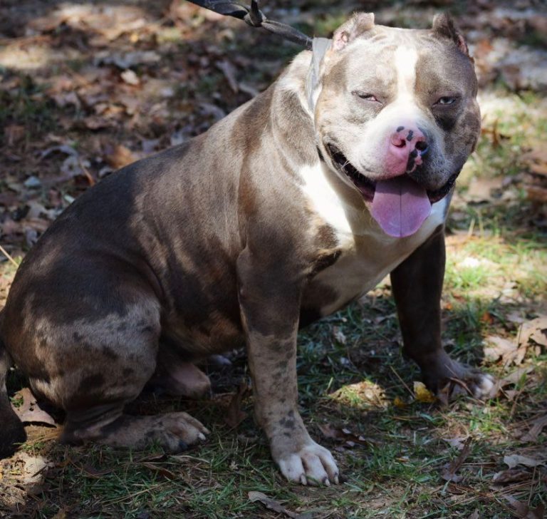 123329324_398047218246873_3294304460760543397_n