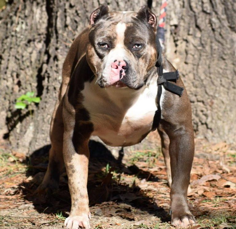 123334923_698326101080003_4841972840948781427_n