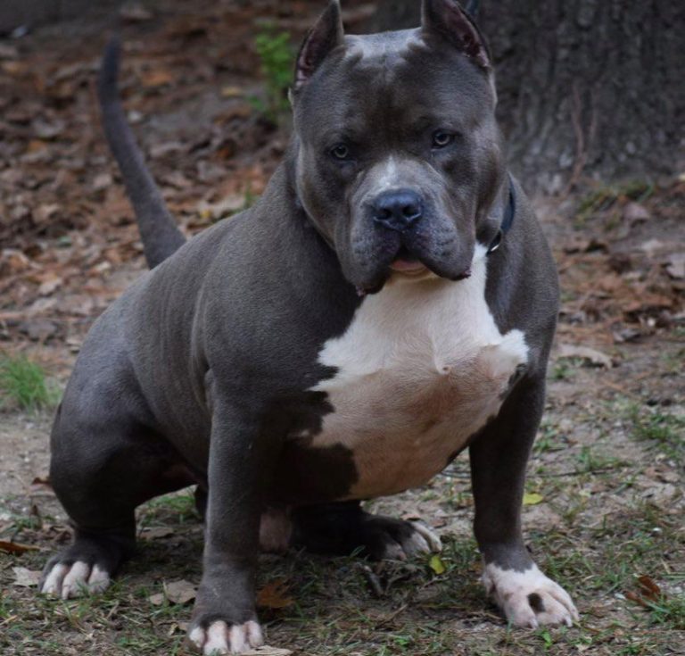 125431089_1334740626884347_4475147054167622291_n