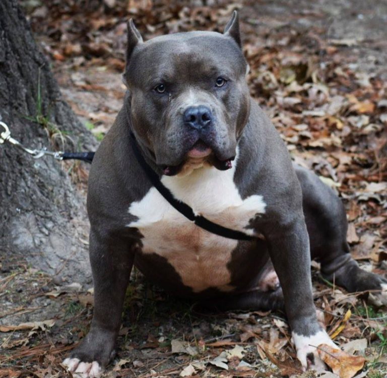 125543654_2921525441416500_3382289128377509129_n