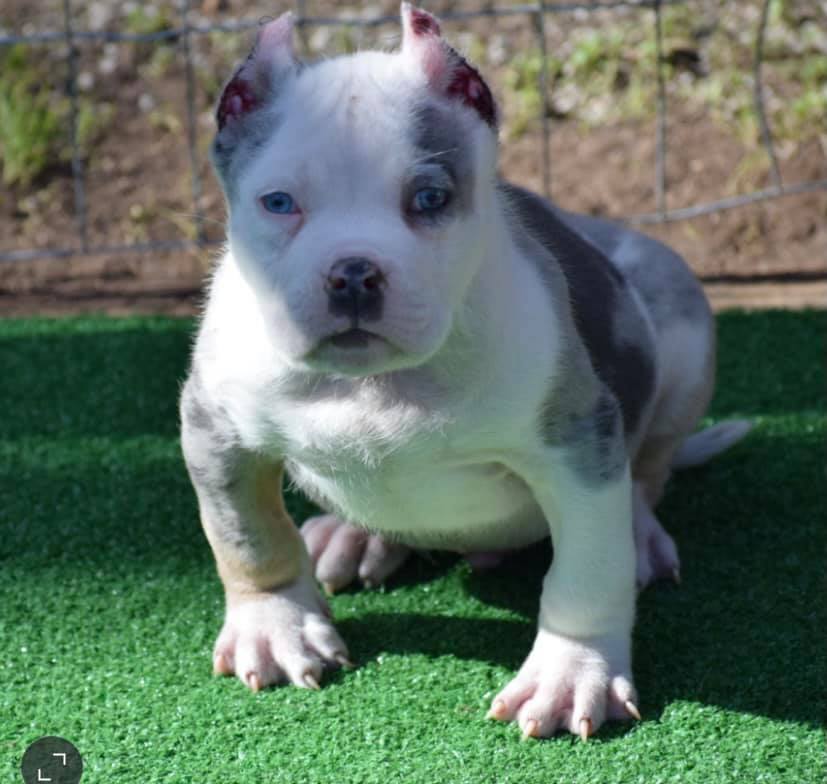 #Bamanews Hide the ladies when Pretty boy Floyd is around those blue eyes will g…