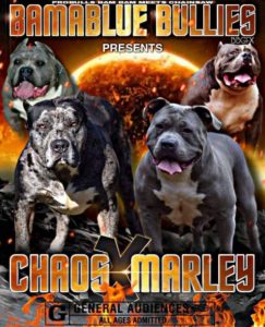 #Bamanews If you feel the ground shake that’s not a earth Quake￼ that’s just Mar…