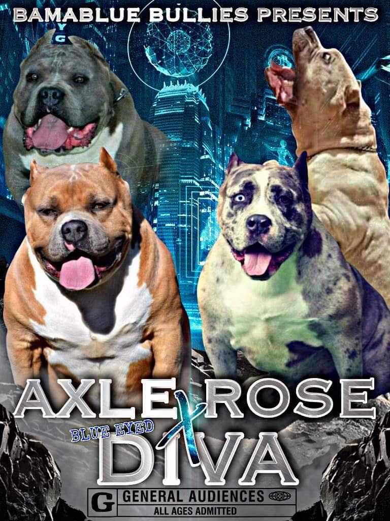 AXLE Rose X Blue Eyed Diva